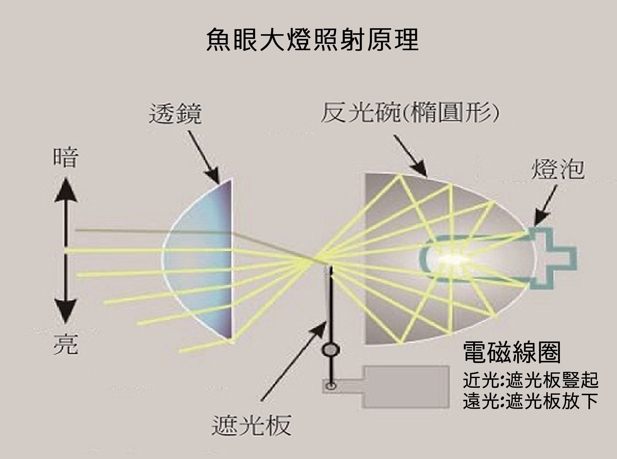 魚眼發光原理