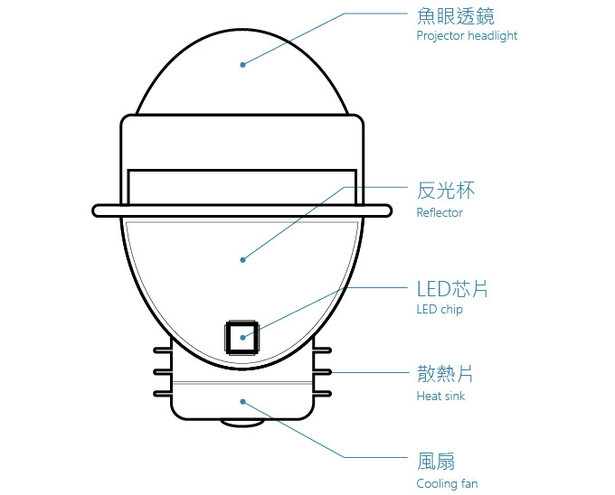 LED魚眼構造