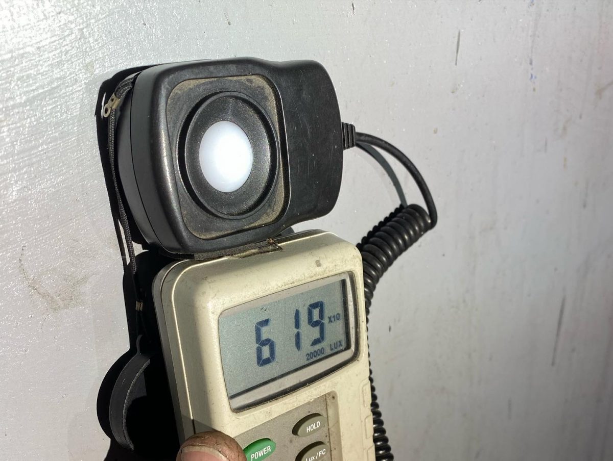 267749801_616405609700066_7354416037207002391_n 267749801 616405609700066 7354416037207002391 n
